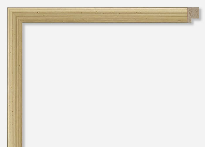 Custom Frame CFSY015-282-001x