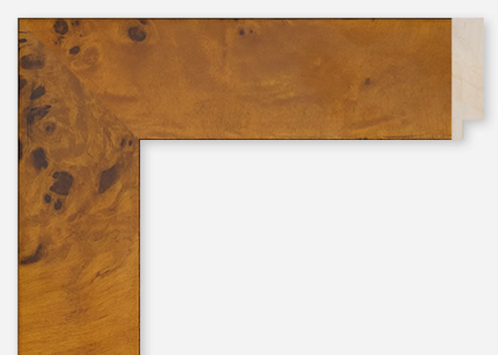 Custom Frame CFSQ10004