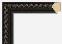 Custom Frame CFSZ0103