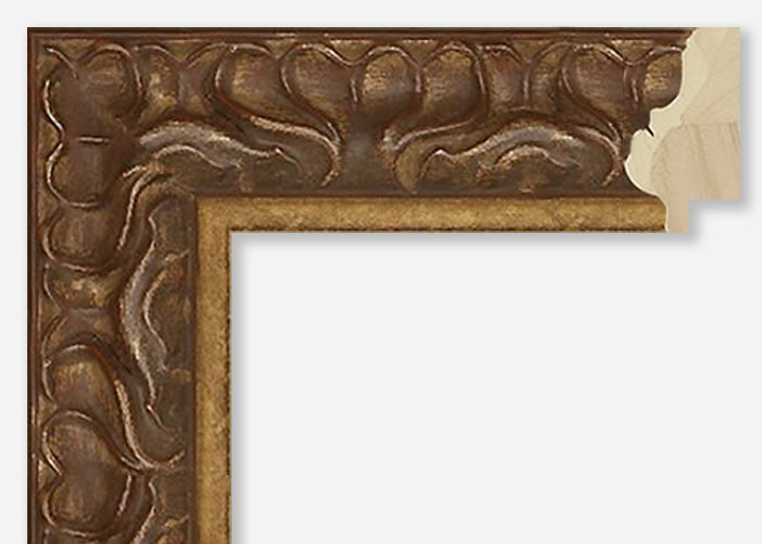 Custom Frame CFSY1041-9169