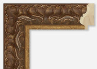 Custom Frame CFSY1041-9169