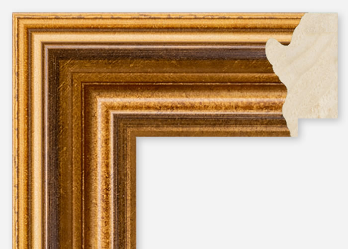 Custom Frame CFSQ1041