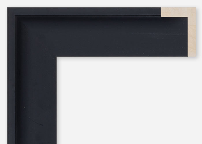 Custom Floater Frame CFSQ10691x