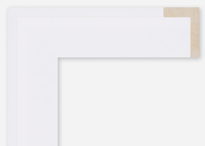 Custom Floater Frame CFSQ10941x