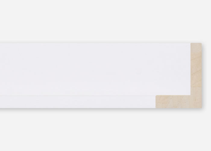 Custom Floater Frame CFSQ10941x