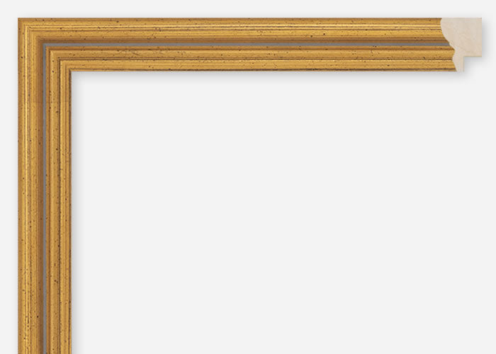 Custom Frame CFSQ1201