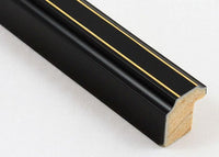 Custom Frame CFSZ12123