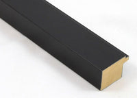 Custom Frame CFSX1300-290