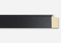 Custom Frame CFSX1300-290