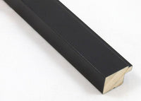 Custom Frame CFSX1300-295