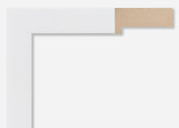 Custom Frame CFSX1300-540