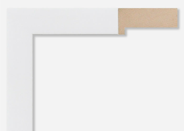 Custom Frame CFSX1300-540