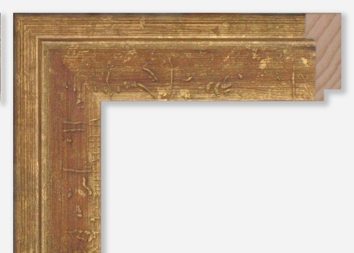 Custom Frame CFSX1300-565