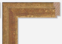 Custom Frame CFSX1300-565