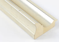 Custom Frame CFSX1300-610