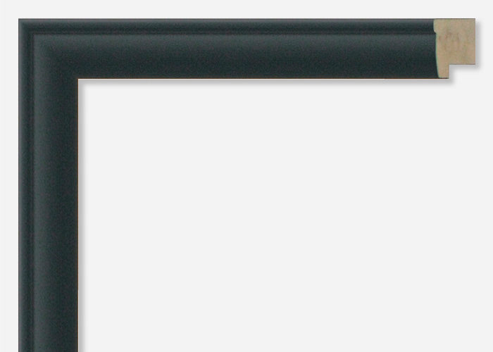 Custom Frame CFSX1300-650