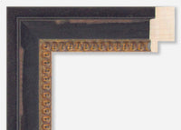 Custom Frame CFSX1300-905