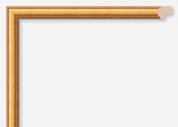 Custom Frame CFSX1370-65x