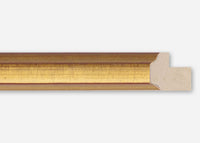 Custom Frame CFSX1370-65x