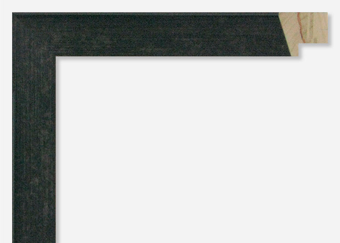 Custom Frame CFSX1600-05