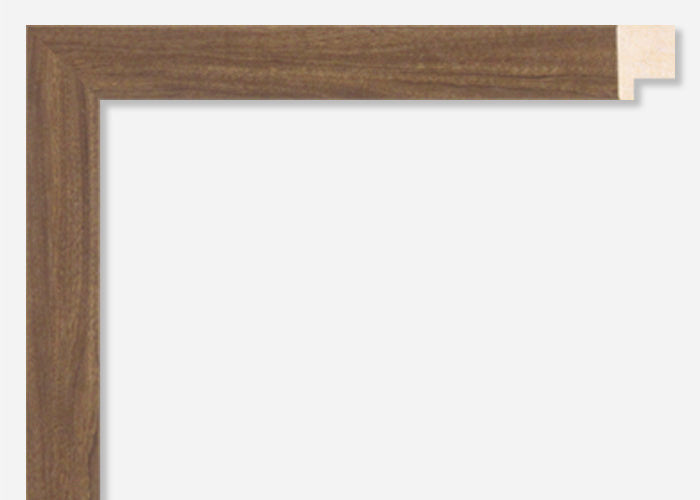 Custom Frame CFSX1605-50