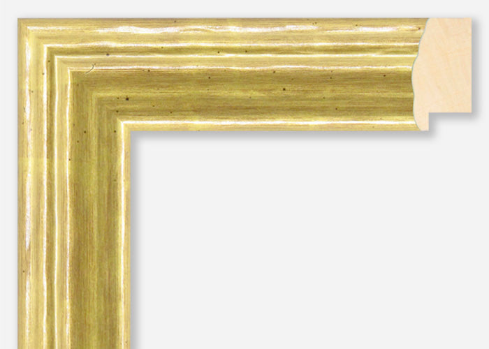 Custom Frame CFSX1610-25