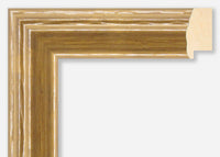 Custom Frame CFSX1610-45