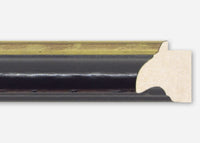 Custom Frame CFSX1610-50