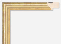 Custom Frame CFSX1610-80