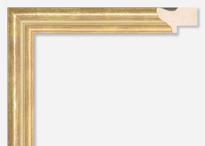Custom Frame CFSX1610-80