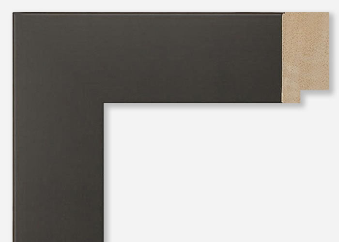 Custom Frame CFSY201-003R