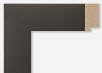 Custom Frame CFSY201-003R