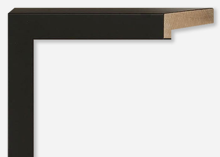 Custom Frame CFSY201-004R