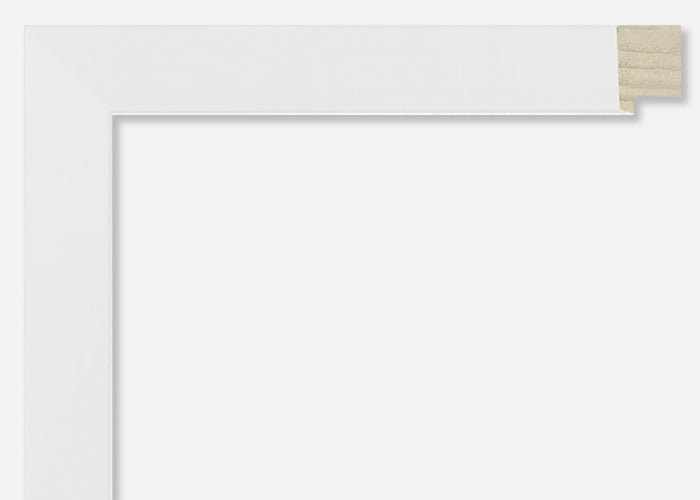 Custom Frame CFSY201-110RW