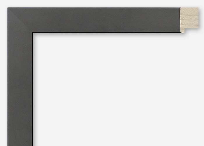 Custom Frame CFSY201-110R