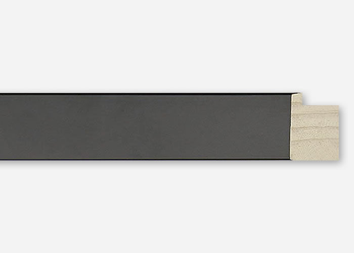 Custom Frame CFSY201-110R