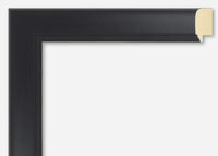 Custom Frame CFSY201-201R