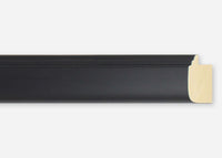 Custom Frame CFSY201-201R