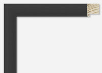 Custom Frame CFSY201-355R