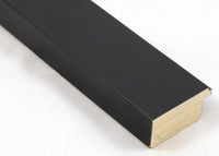 Custom Frame CFSY201-364R