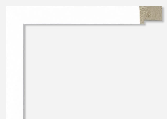 Custom Frame CFSY201-365RW