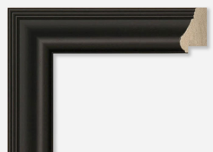 Custom Frame CFSY201-408R