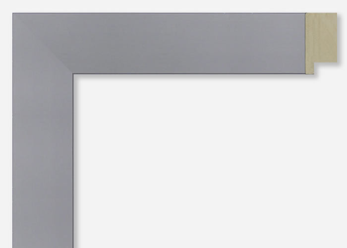 Custom Frame CFSY201-421RG