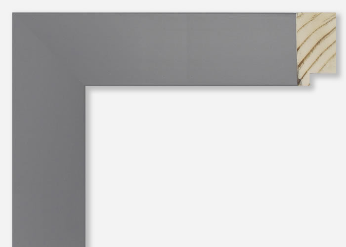 Custom Frame CFSY201-422RG