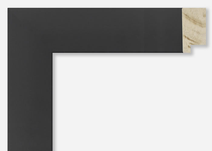 Custom Frame CFSY201-422R