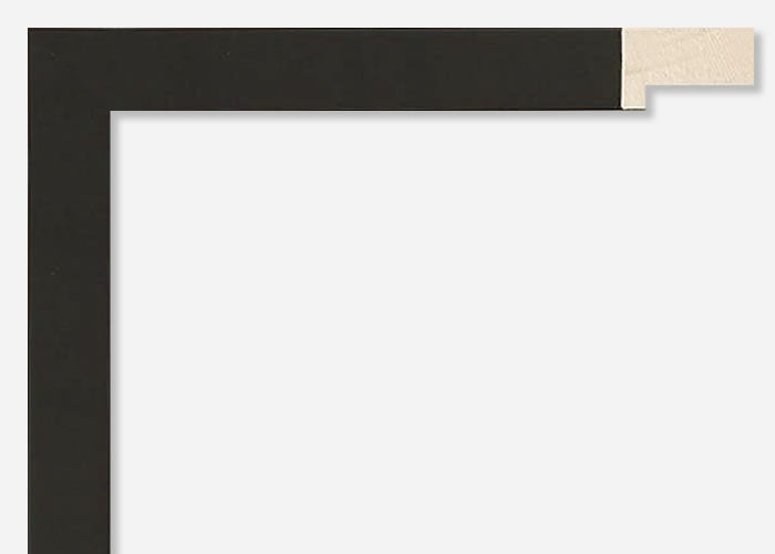 Custom Frame CFSY201-423R