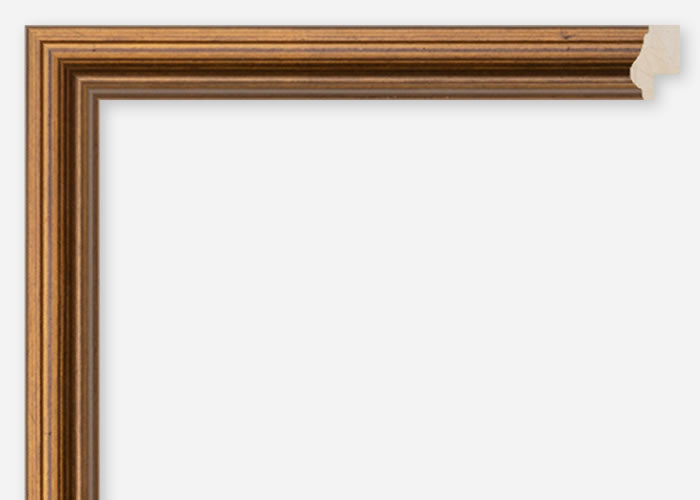 Custom Frame CFSQ2010