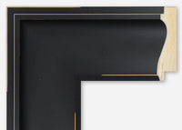 Custom Frame CFSZ2013