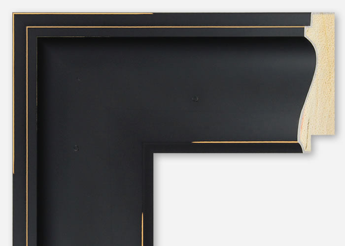 Custom Frame CFSZ2013