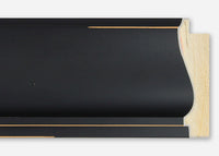 Custom Frame CFSZ2013